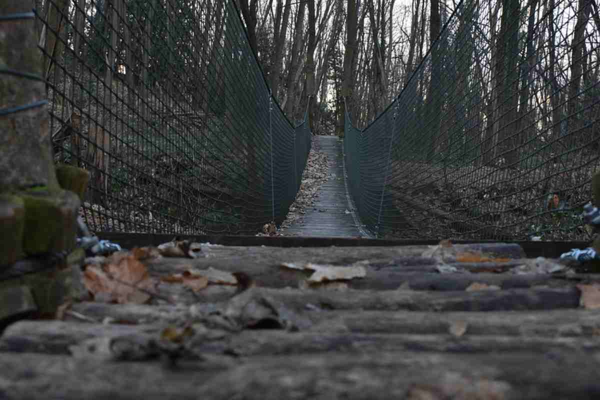 Ecco svelato quanto costa il ponte tibetano